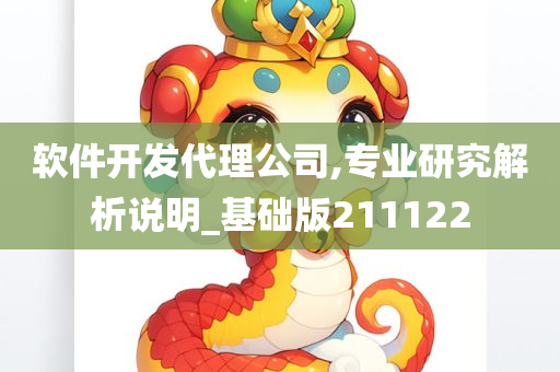 软件开发代理公司,专业研究解析说明_基础版211122