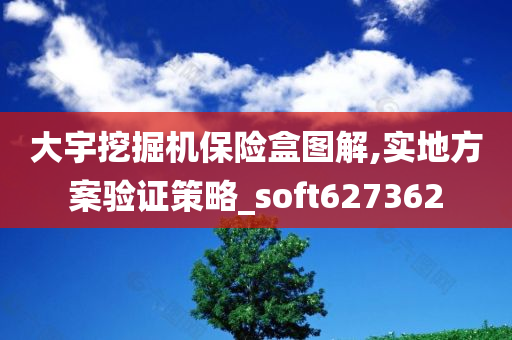 大宇挖掘机保险盒图解,实地方案验证策略_soft627362