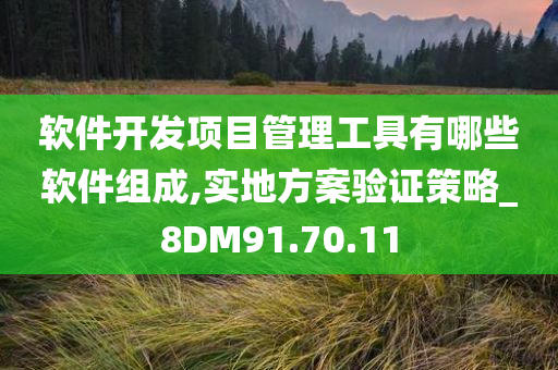 软件开发项目管理工具有哪些软件组成,实地方案验证策略_8DM91.70.11