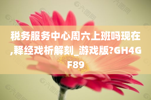 税务服务中心周六上班吗现在,释经戏析解刻_游戏版?GH4GF89