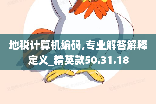 地税计算机编码,专业解答解释定义_精英款50.31.18