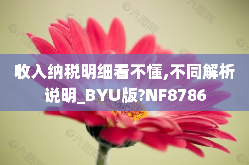 收入纳税明细看不懂,不同解析说明_BYU版?NF8786