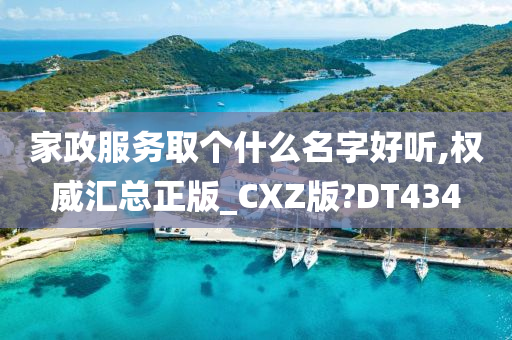 家政服务取个什么名字好听,权威汇总正版_CXZ版?DT434