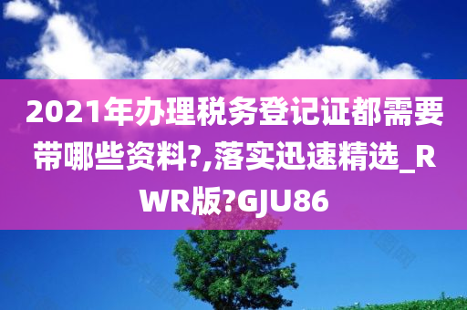 2021年办理税务登记证都需要带哪些资料?,落实迅速精选_RWR版?GJU86