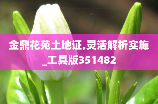 金鼎花苑土地证,灵活解析实施_工具版351482