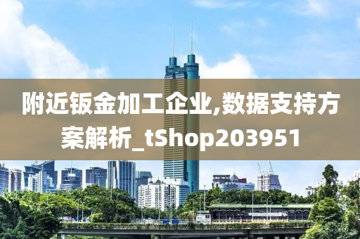 附近钣金加工企业,数据支持方案解析_tShop203951