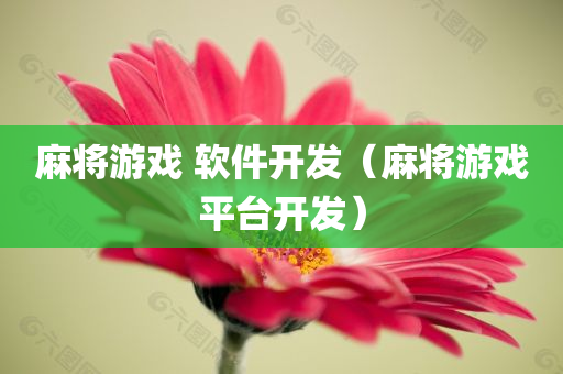 麻将游戏 软件开发（麻将游戏平台开发）