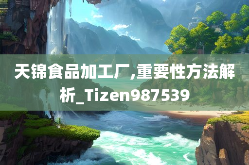 天锦食品加工厂,重要性方法解析_Tizen987539