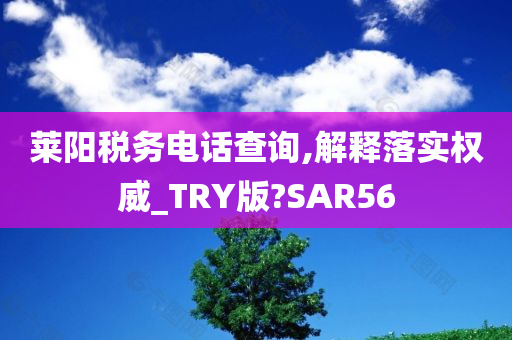 莱阳税务电话查询,解释落实权威_TRY版?SAR56