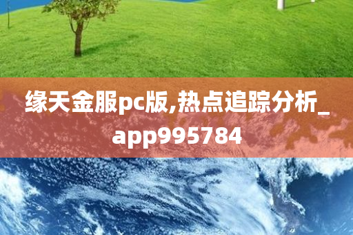 缘天金服pc版,热点追踪分析_app995784