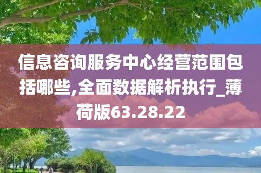 信息咨询服务中心经营范围包括哪些,全面数据解析执行_薄荷版63.28.22