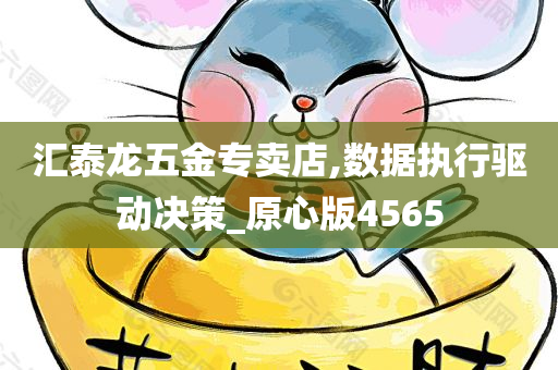 汇泰龙五金专卖店,数据执行驱动决策_原心版4565