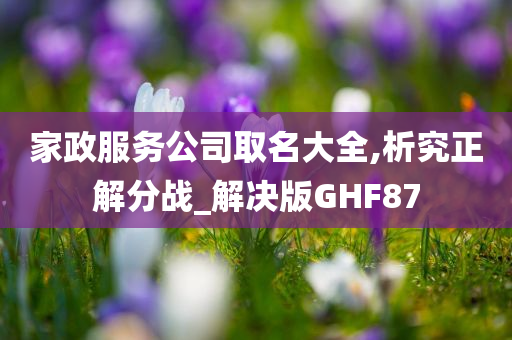 家政服务公司取名大全,析究正解分战_解决版GHF87