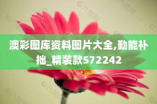 澳彩图库资料图片大全,勤能补拙_精装款572242