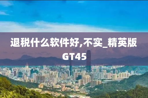 退税什么软件好,不实_精英版GT45