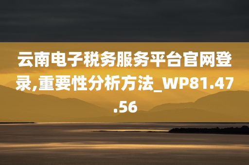 云南电子税务服务平台官网登录,重要性分析方法_WP81.47.56