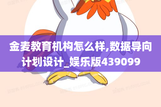 金麦教育机构怎么样,数据导向计划设计_娱乐版439099