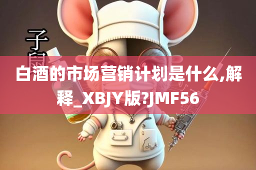 白酒的市场营销计划是什么,解释_XBJY版?JMF56