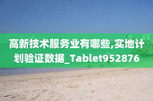 高新技术服务业有哪些,实地计划验证数据_Tablet952876