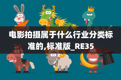 电影拍摄属于什么行业分类标准的,标准版_RE35