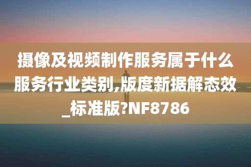 摄像及视频制作服务属于什么服务行业类别,版度新据解态效_标准版?NF8786