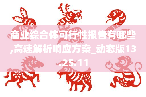 商业综合体可行性报告有哪些,高速解析响应方案_动态版13.25.11