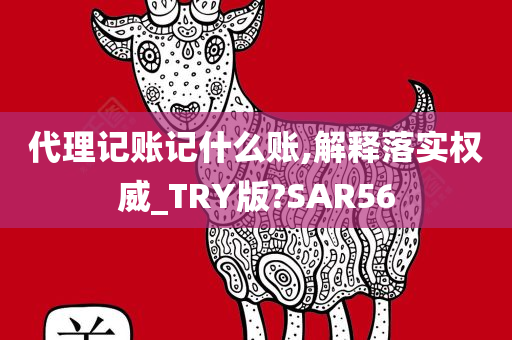 代理记账记什么账,解释落实权威_TRY版?SAR56