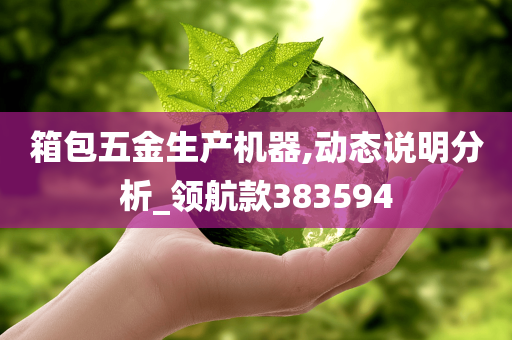 箱包五金生产机器,动态说明分析_领航款383594