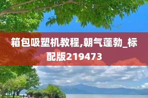 箱包吸塑机教程,朝气蓬勃_标配版219473