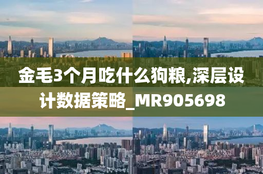 金毛3个月吃什么狗粮,深层设计数据策略_MR905698