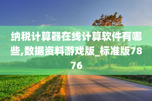 纳税计算器在线计算软件有哪些,数据资料游戏版_标准版7876