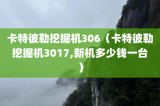 卡特彼勒挖掘机306（卡特彼勒挖掘机3017,新机多少钱一台）