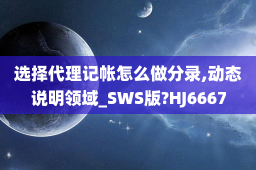 选择代理记帐怎么做分录,动态说明领域_SWS版?HJ6667