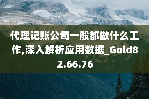 代理记账公司一般都做什么工作,深入解析应用数据_Gold82.66.76