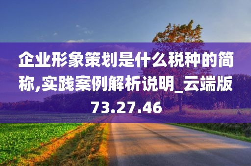 企业形象策划是什么税种的简称,实践案例解析说明_云端版73.27.46