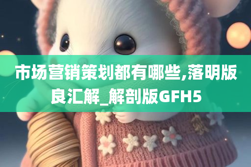 市场营销策划都有哪些,落明版良汇解_解剖版GFH5