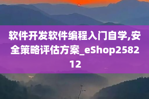 软件开发软件编程入门自学,安全策略评估方案_eShop258212