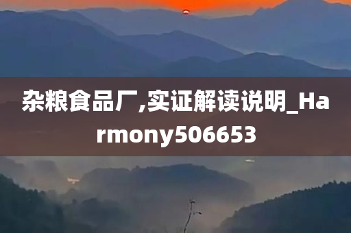 杂粮食品厂,实证解读说明_Harmony506653