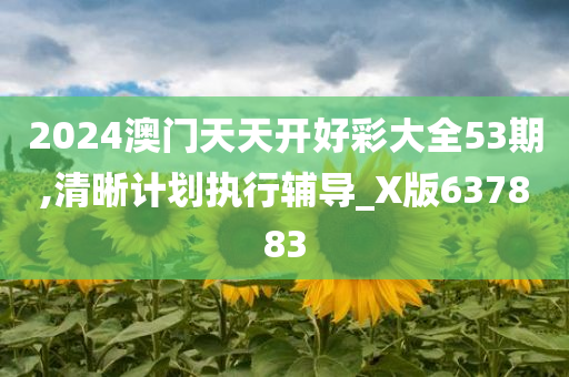 2024澳门天天开好彩大全53期,清晰计划执行辅导_X版637883