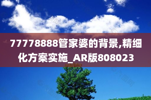 77778888管家婆的背景,精细化方案实施_AR版808023