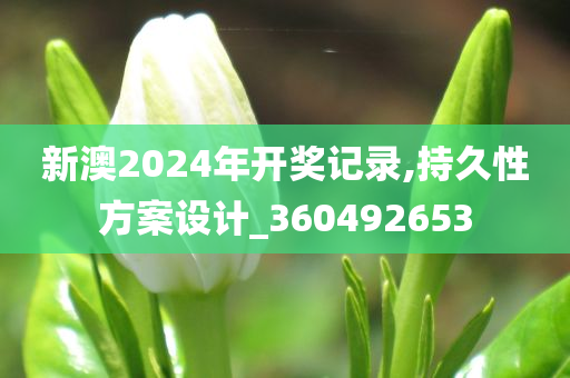 新澳2024年开奖记录,持久性方案设计_360492653