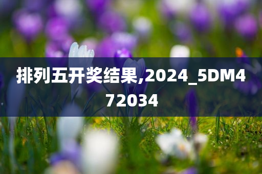 排列五开奖结果,2024_5DM472034