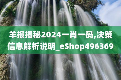 羊报揭秘2024一肖一码,决策信息解析说明_eShop496369