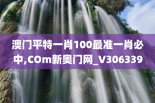 澳门平特一肖100最准一肖必中,COm新奥门网_V306339