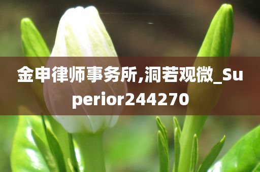 金申律师事务所,洞若观微_Superior244270