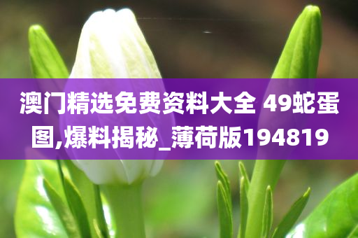 澳门精选免费资料大全 49蛇蛋图,爆料揭秘_薄荷版194819