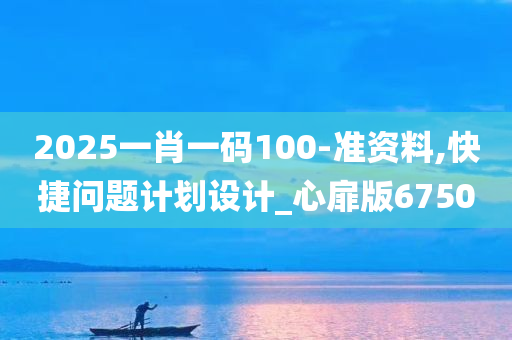 2025一肖一码100-准资料,快捷问题计划设计_心扉版6750