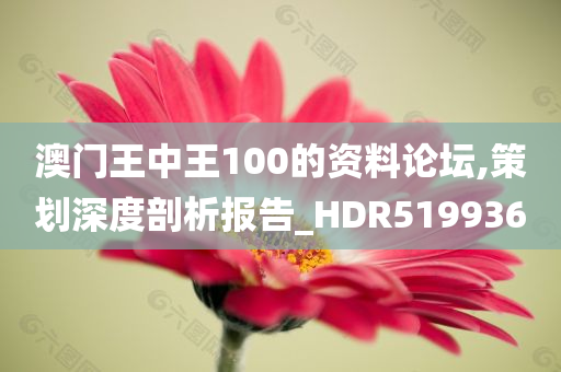 澳门王中王100的资料论坛,策划深度剖析报告_HDR519936