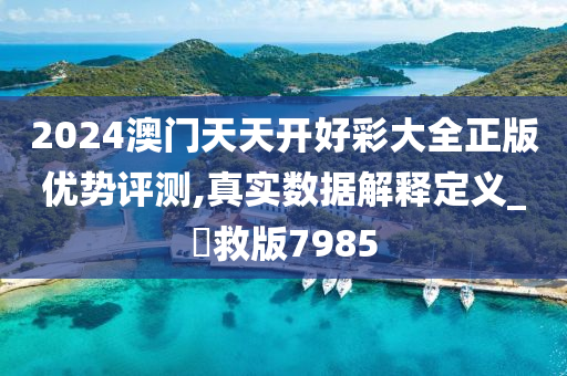 2024澳门天天开好彩大全正版优势评测,真实数据解释定义_劻救版7985