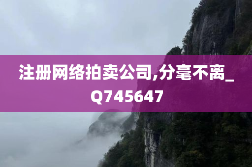 注册网络拍卖公司,分毫不离_Q745647